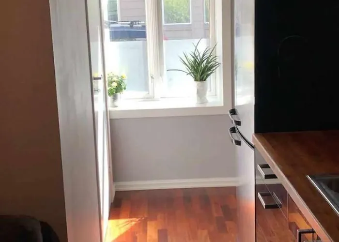 Apartamento Herslebs Gate 2f *